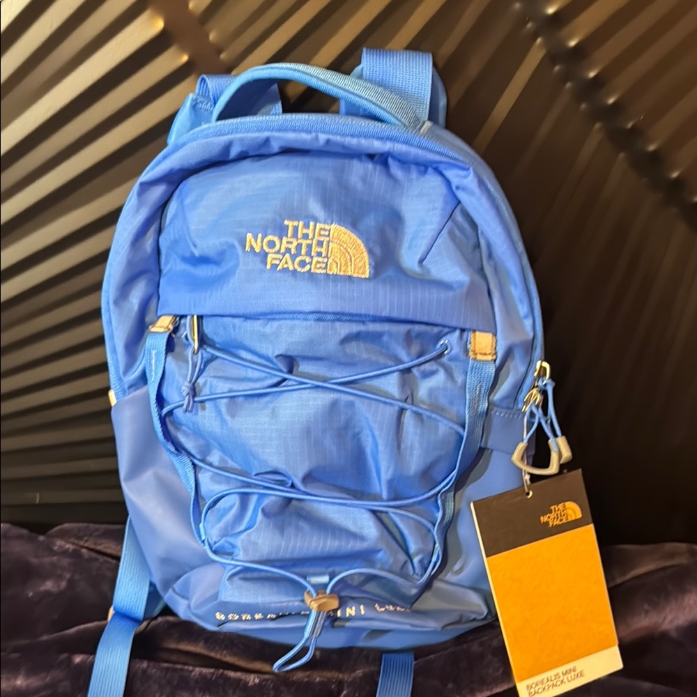 The North Face Vibrant Blue Backpack